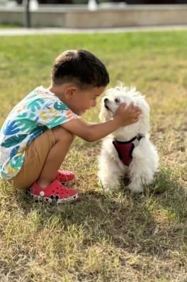 Cast Ajans Yapım Mirza A