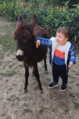 Cast Ajans Yapım Metehan A