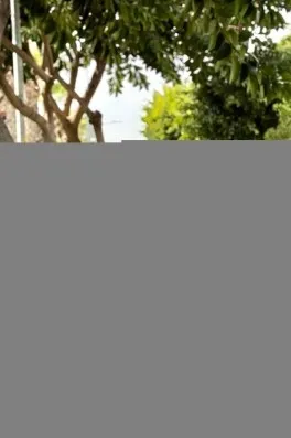 Cast Ajans Yapım Mustafa A