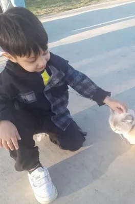 Cast Ajans Yapım Çınar D