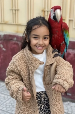 Cast Ajans Yapım Arya Ö