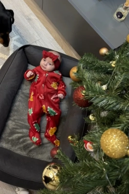 Cast Ajans Yapım Güneş E