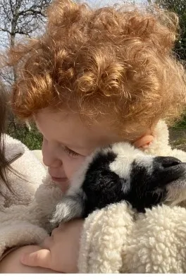 Cast Ajans Yapım Asil K