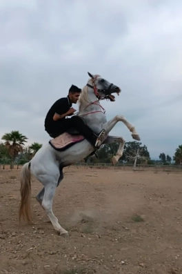 Cast Ajans Yapım Ömer Ö