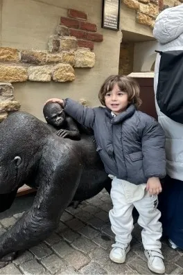 Cast Ajans Yapım Asil N