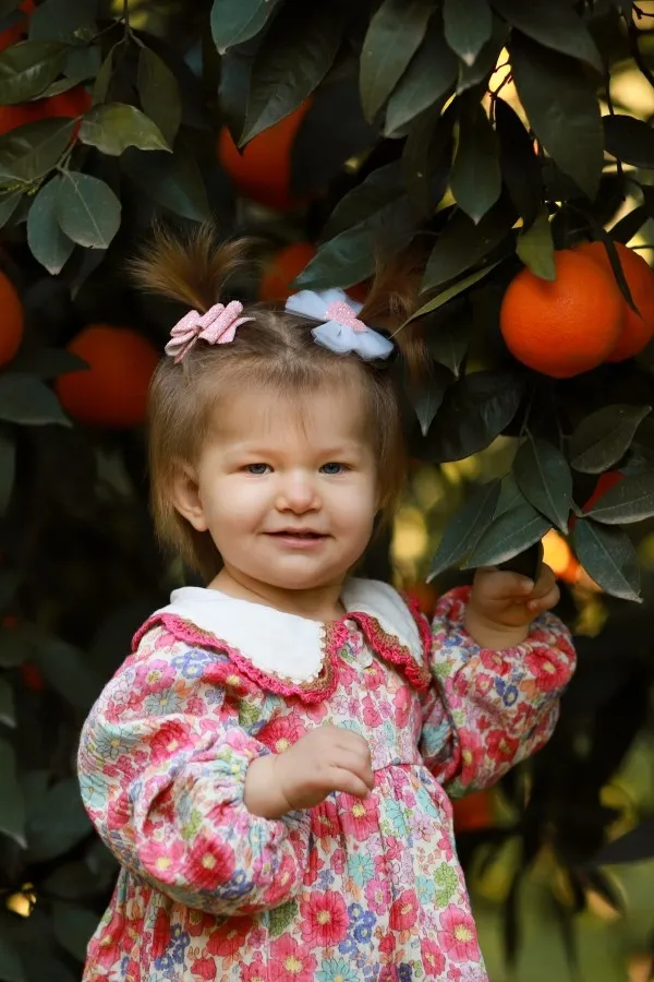 İpek İnce, fotoğraf 10