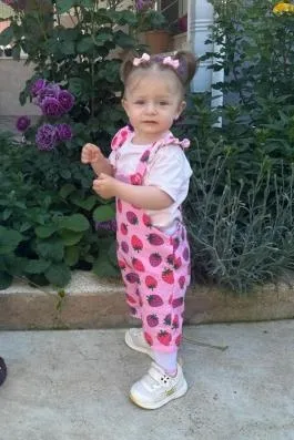 Nehir
