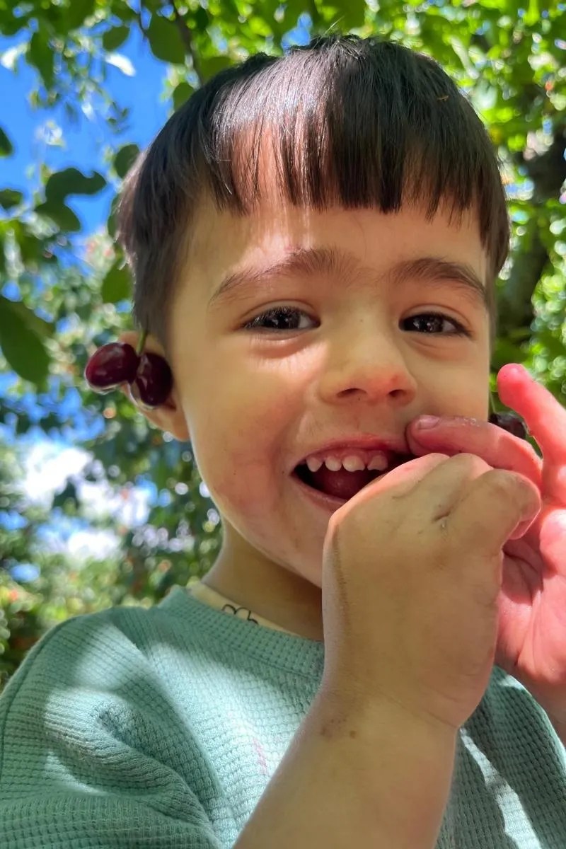 Murat selim müjde, fotoğraf 6