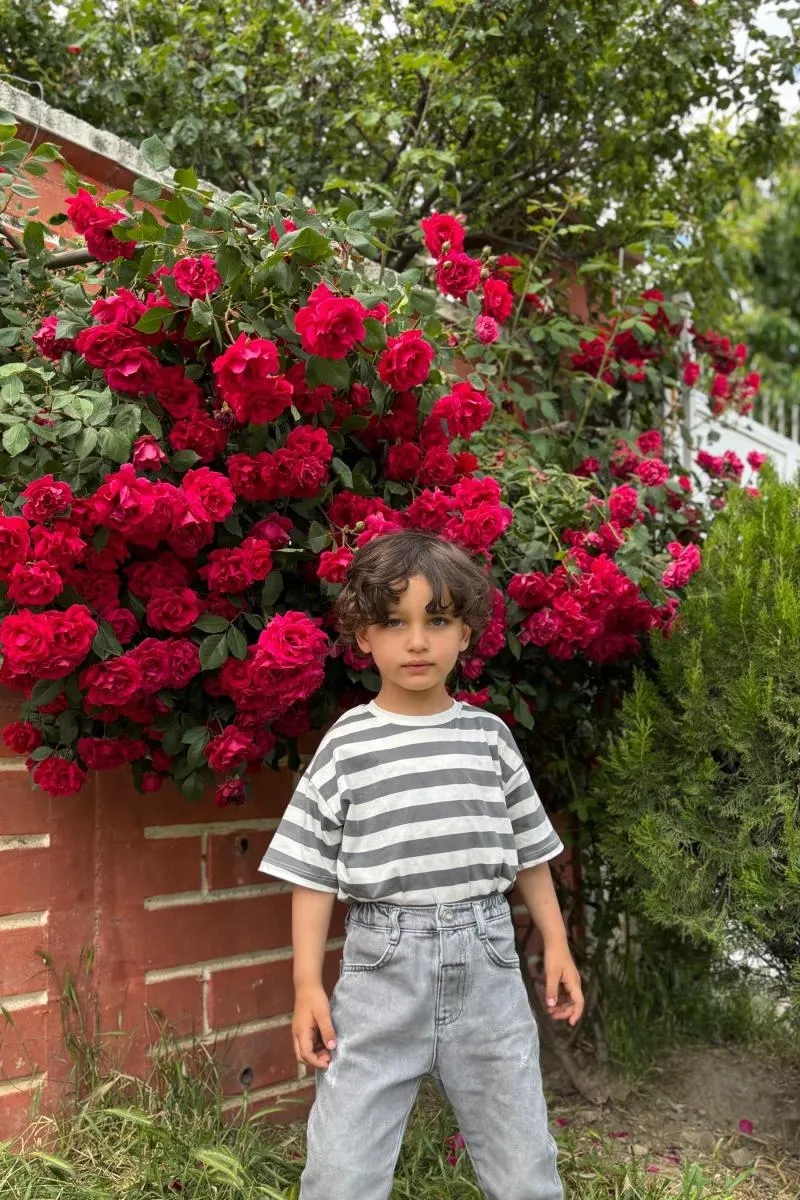 Muhammed Alparslan aktürk, fotoğraf 13