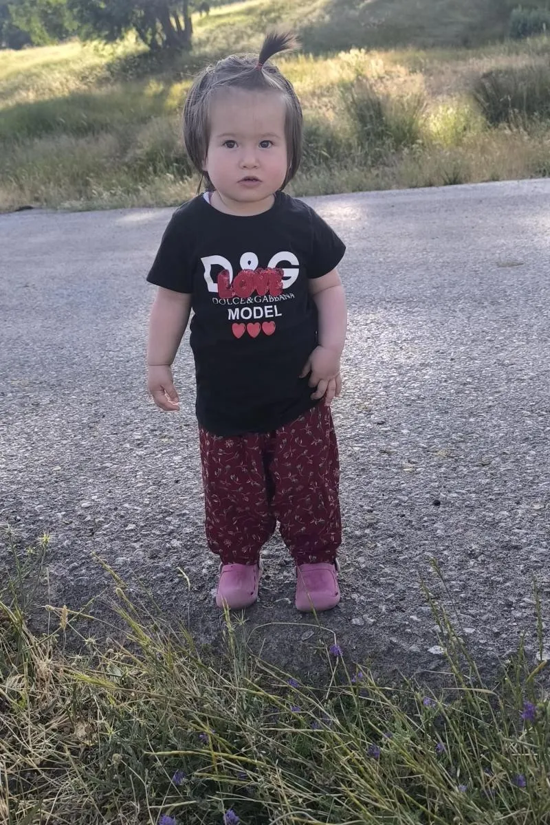 Zerna çelik, fotoğraf 4