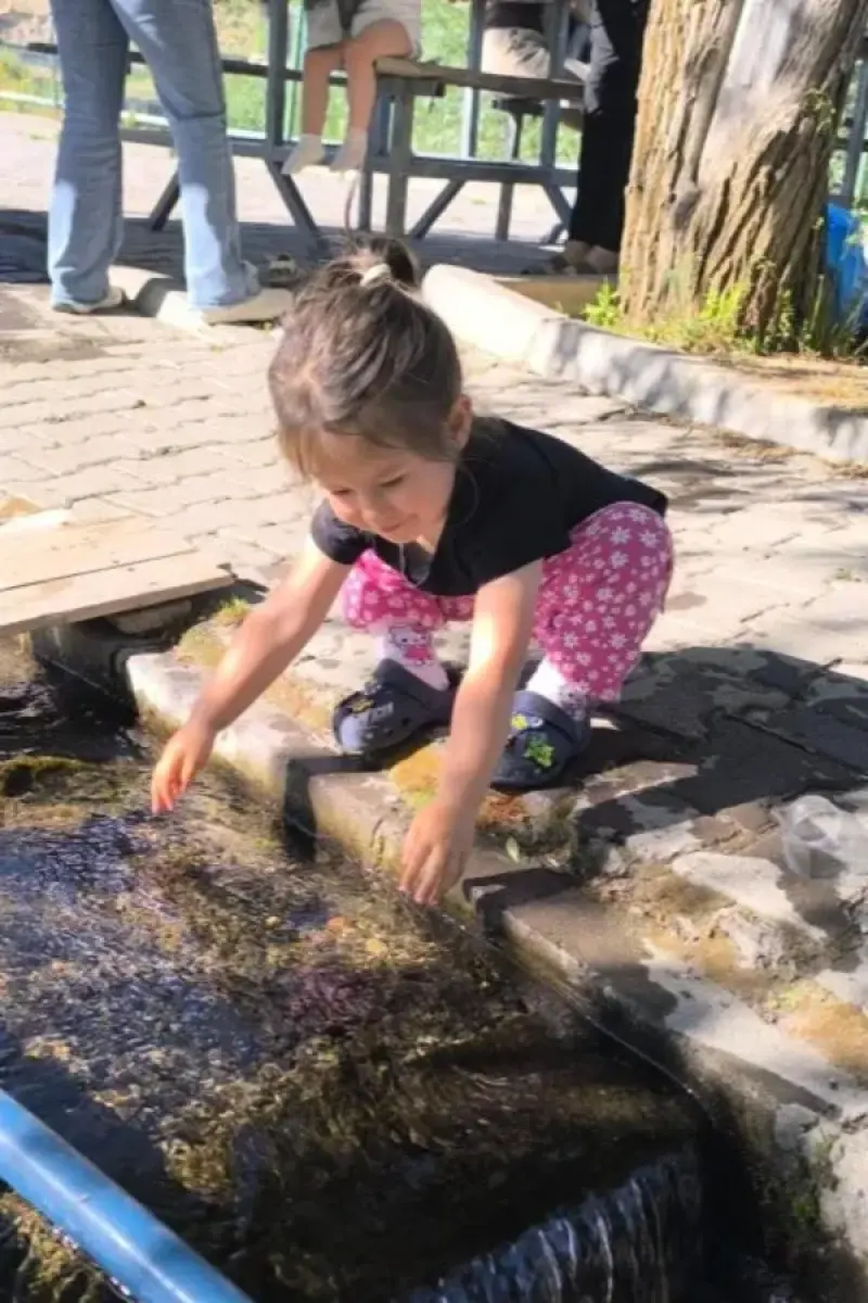 Zerna çelik, fotoğraf 2