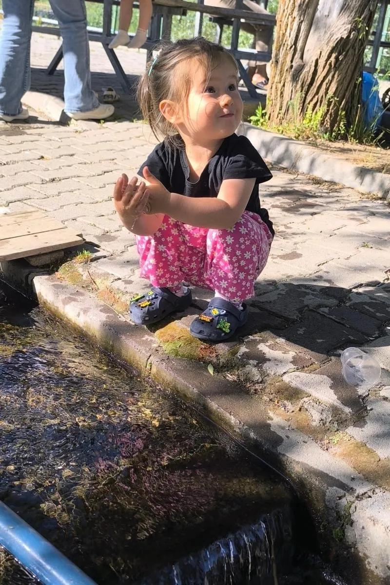 Zerna çelik, fotoğraf 7