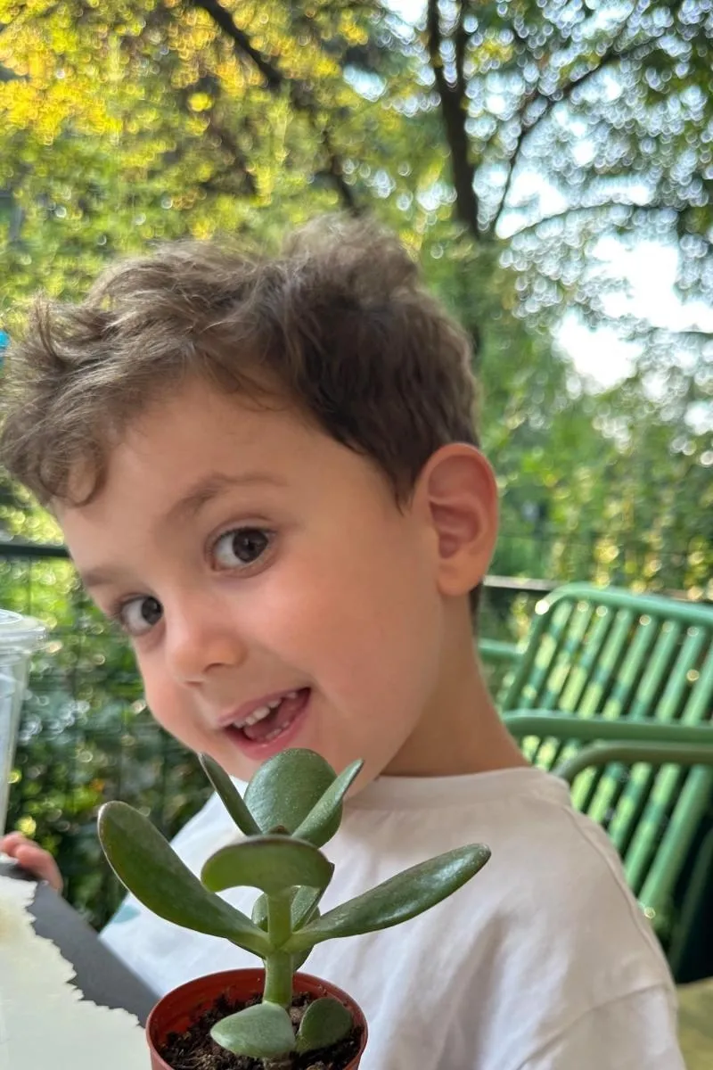 Ata Ege Kepçeler, fotoğraf 4