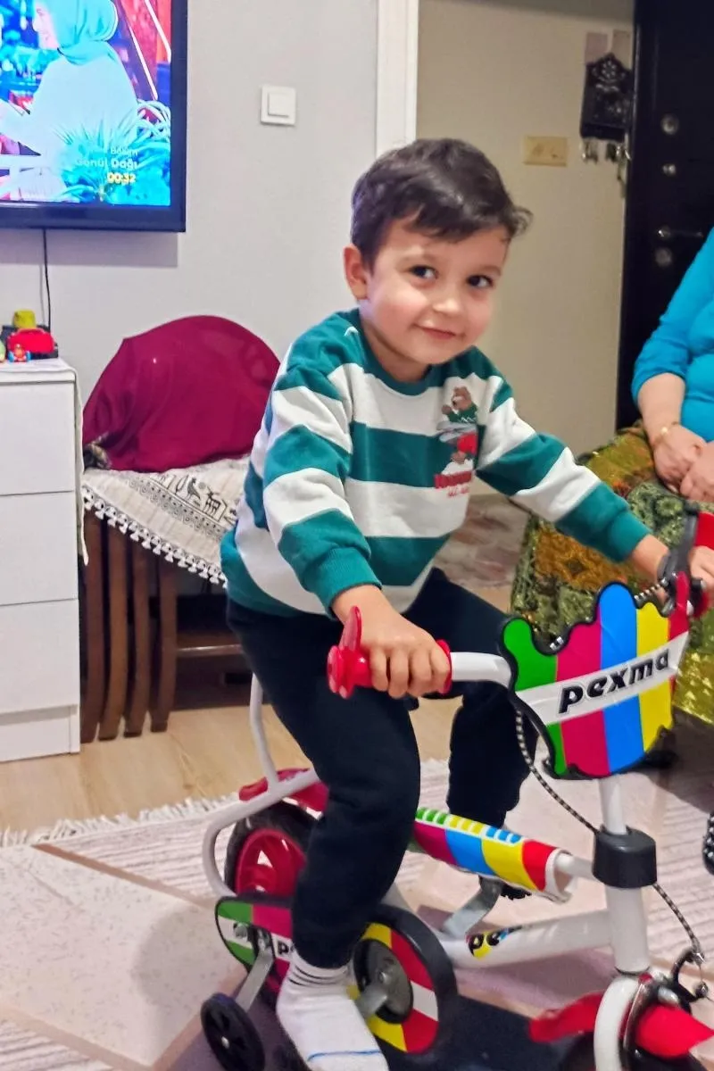 Kuzey yılmaz, fotoğraf 5
