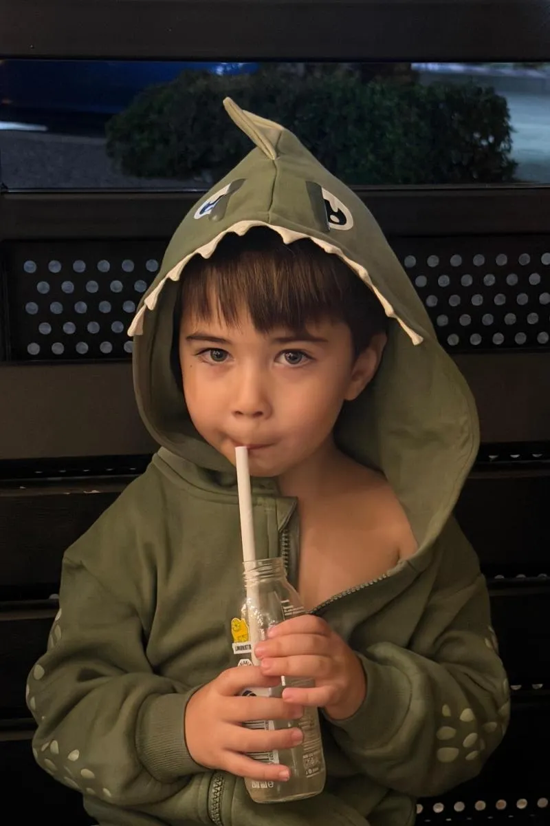 Ayaz Aslan Girgin, fotoğraf 2