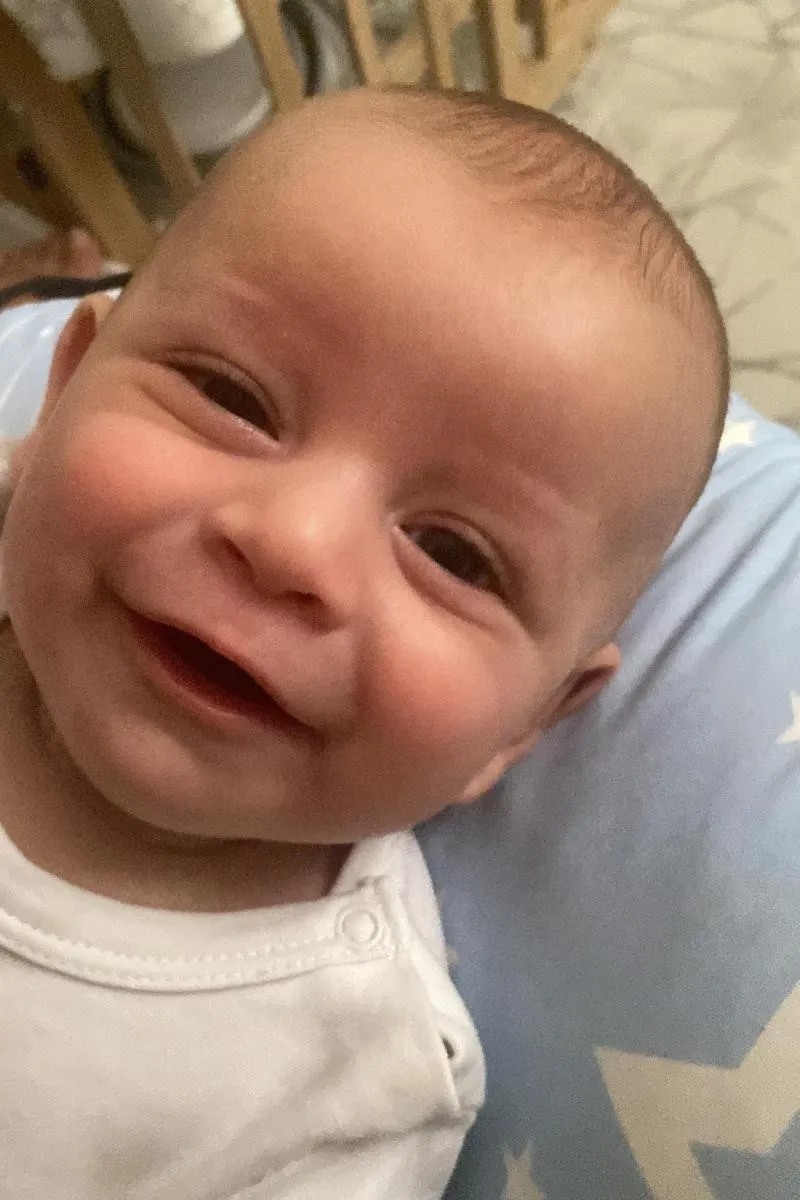 Asil demir, fotoğraf 8